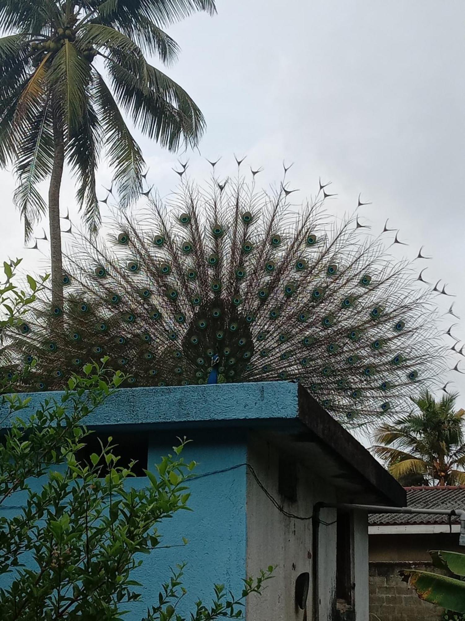 Apartment Aarohi House Ahangama