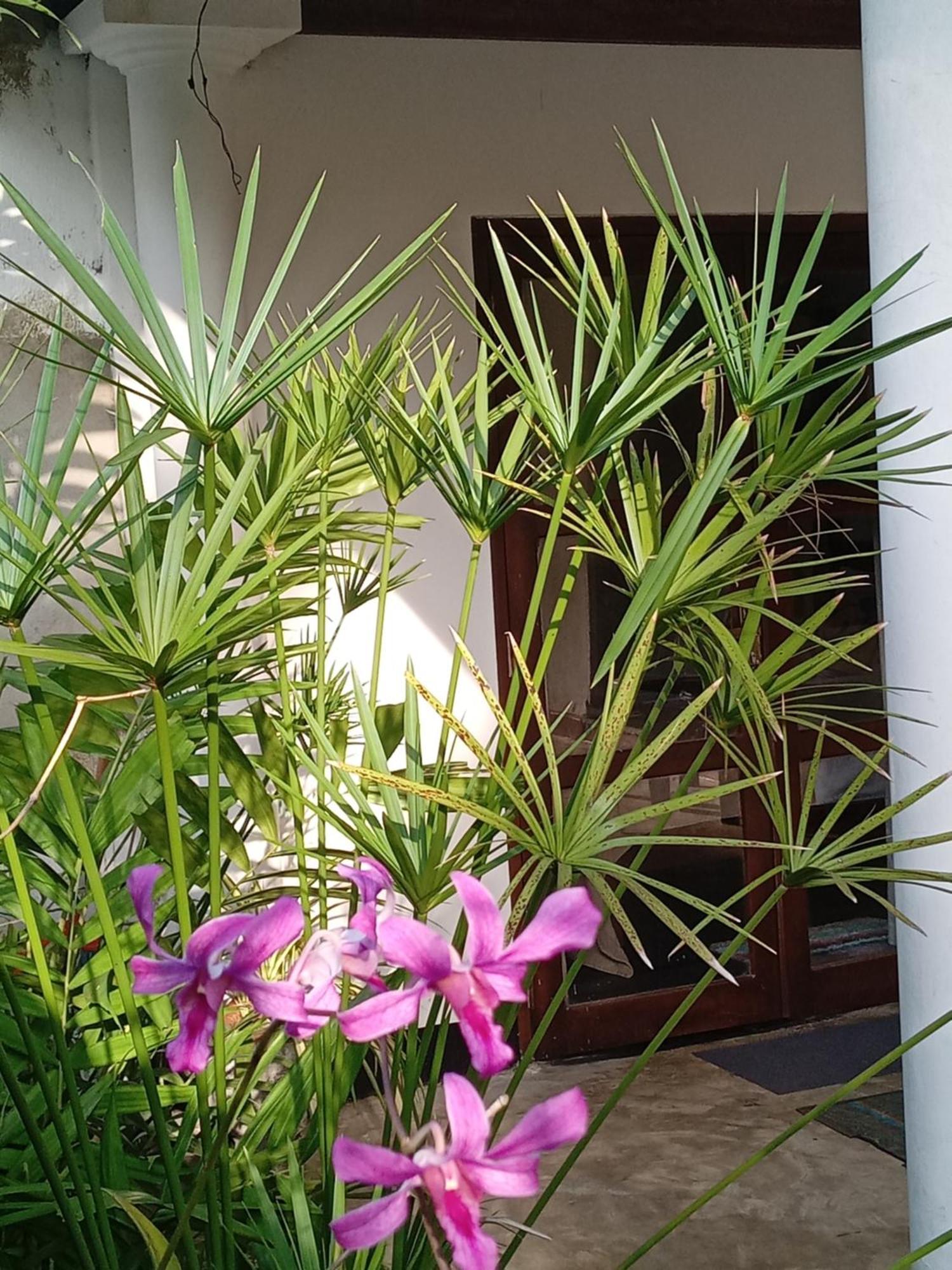 Apartment Aarohi House Ahangama